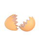 Egg Shell - 3DOcean Item for Sale