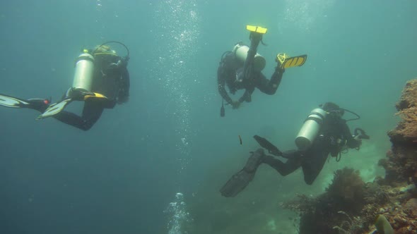 Coral Reef with Fish Underwater. Camiguin, Philippines