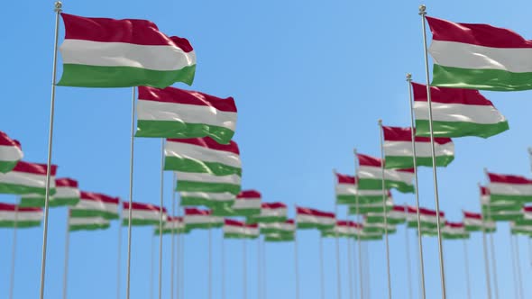 Hungary Row Of National flags Walk Throw Animation