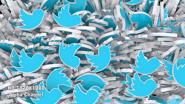 Rain Twitter Bird Transition alt