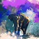Animated Watercolor Reveal Photoshop Action - GraphicRiver Item for Sale