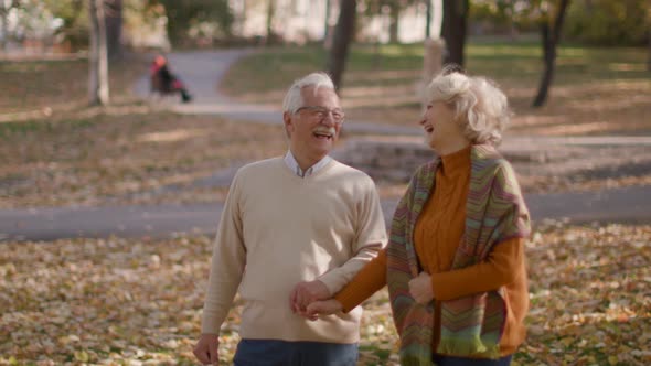 Handsome senior couple walking in autumn park