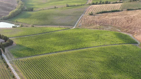 Drone flying over vineyards in Tuscany, Italy, Europe