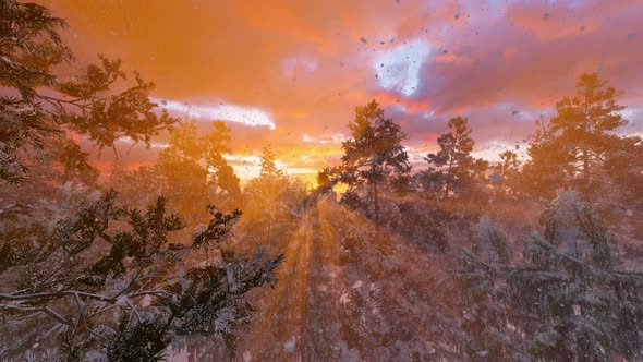 Colorful Winter Sunrise In The Mountains