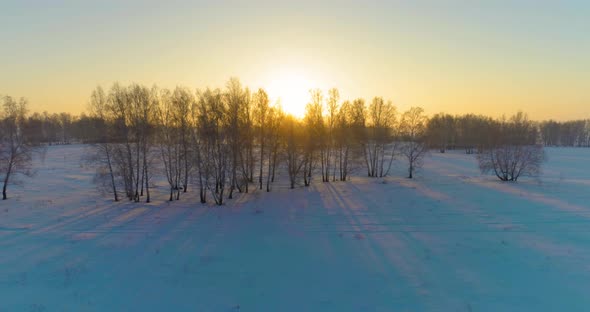 Aerial Drone View of Cold Winter Landscape with Arctic Field Trees Covered with Frost Snow and