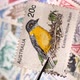Old Postal Stamp ( VERTICAL VIDEO ) - VideoHive Item for Sale