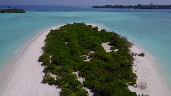 Aerial sky of marine bay beach wildlife by blue ocean and sand background