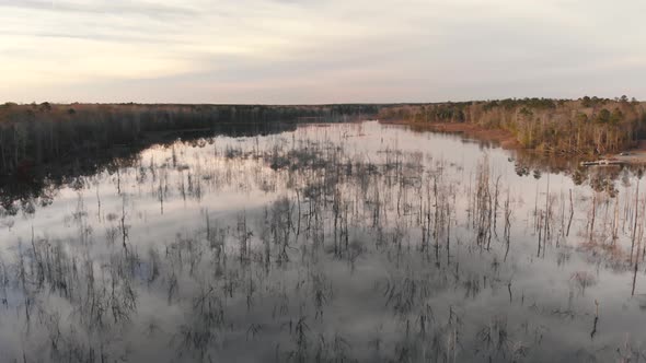 Slowly descending while flying over hundreds of bare trees rising out of a smooth Tired Creek Lake r