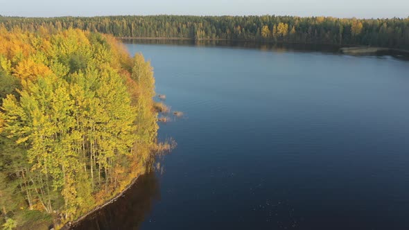 The Top View of the Trees on the Side of the Lake Saimaa on an Aerial View