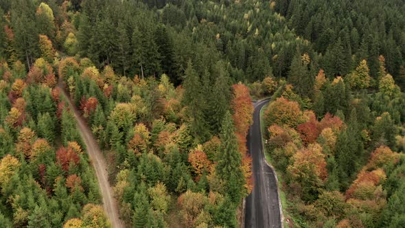 Aerial view of caring along the road in an autumn mountain forest in Romania
