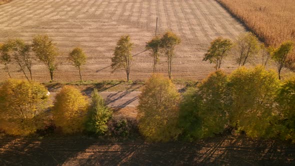 Aerial View of Car Driving on Countryside Road