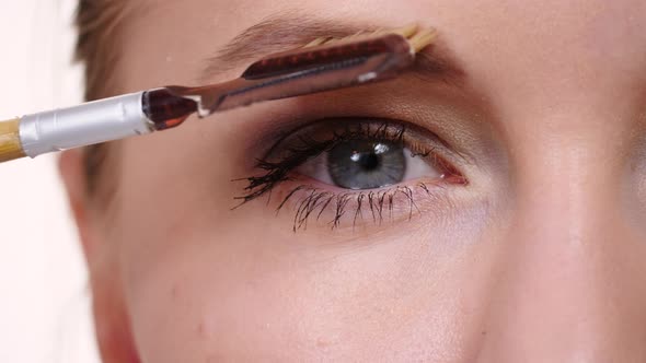 Makeup Artist Using Eyebrow Brush