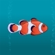 Fish Clown Cartoon Pic - GraphicRiver Item for Sale