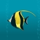 Black and Yellow Angel Fish - GraphicRiver Item for Sale