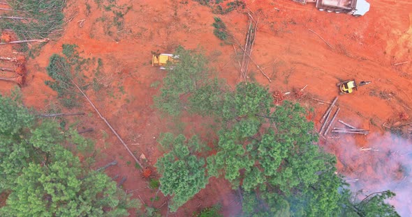 Cleaning the Forest and Preparing the Grounds for Construction with a Dozer During the Deforestation