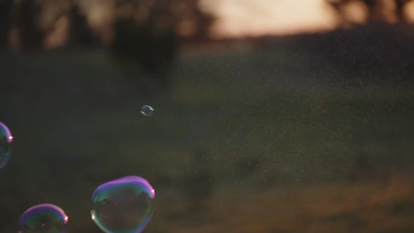 Girl Blowing Bubbles That Float In Sunlit Field At Sunset