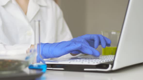 Woman doctor typing on laptop keyboard in clinic. Online medical working