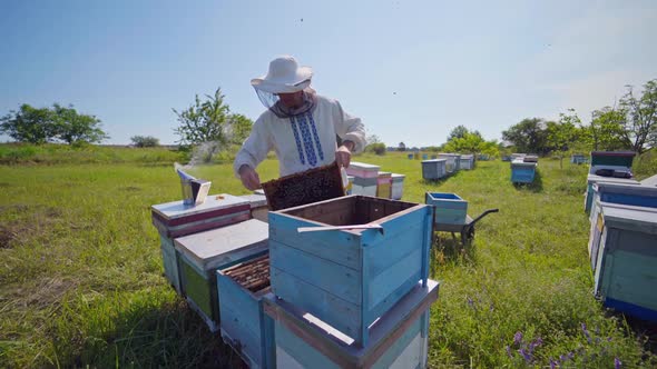 A beekeeper in veil at apiary among hives. Summer, sunny day. Video of working apiarist.