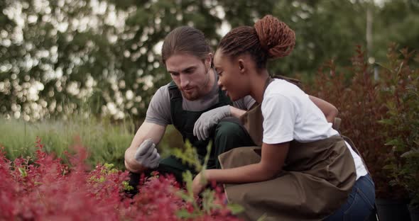 Multiracial Colleagues Examining Plant on Farm