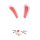 Rabbit Face - 3DOcean Item for Sale