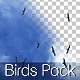 Birds Pack - VideoHive Item for Sale