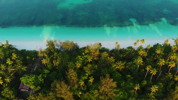 Aerial: uncontaminated coastline tropical beach caribbean sea coral reef palm tree woodland