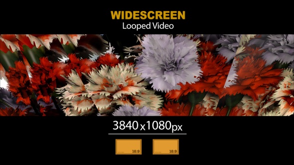 Widescreen Bouquet Flowers Reflex 06