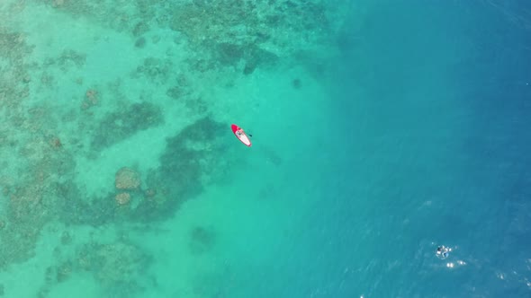 Tourist Swims Along the Mesmerizing Transparent Water of the Indian Ocean