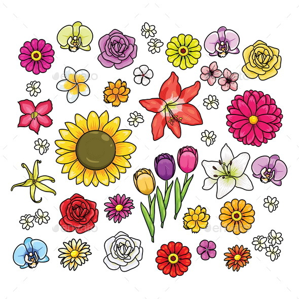 Various Kinds of Cartoon Flowers