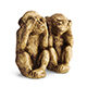 Two Wise Monkeys - 3DOcean Item for Sale