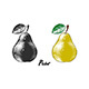 Hand Drawn Sketch Of Pear - GraphicRiver Item for Sale