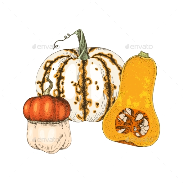 Hand Drawn Fall Pumpkins