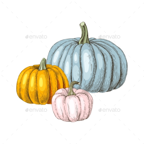 Hand Drawn Fall Pumpkins