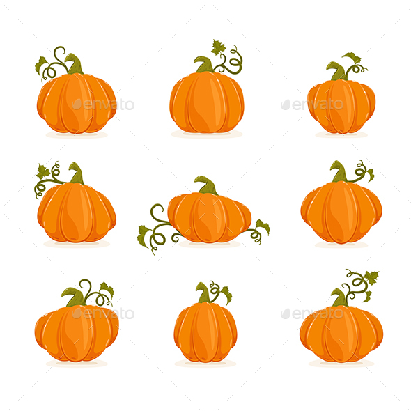 Set of Ripe Pumpkins for Halloween