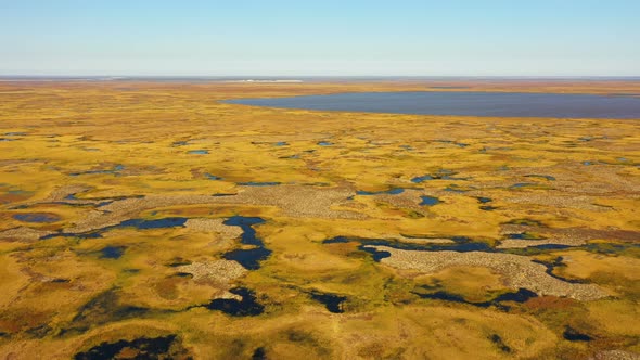 Tundra in Autumn