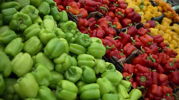 Multicolored Bell and Chili Peppers on Supermarket Display