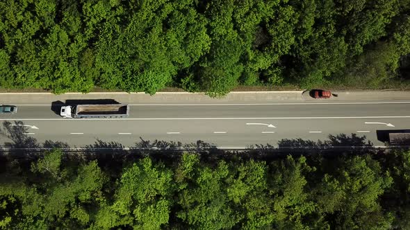 Top Down View of the Forest Road with Car