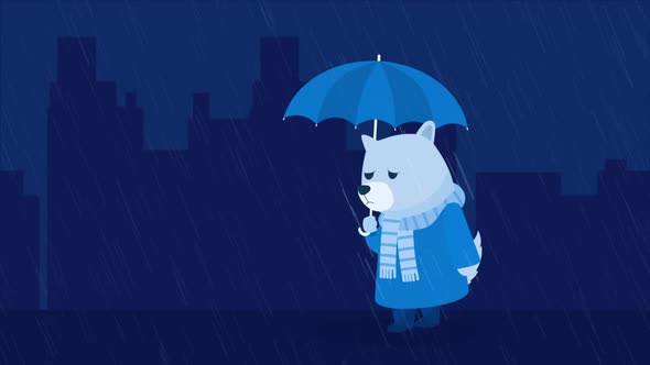 Sad Dog Walks in City Rainy Weather 4K