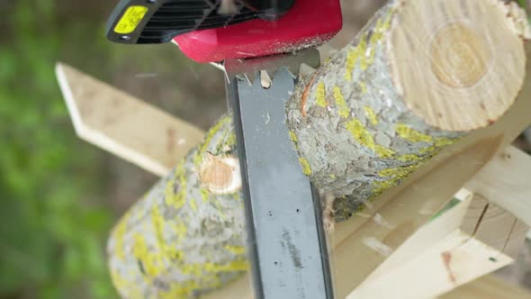 Vertical Shot Chainsaw in Action Cutting Wood