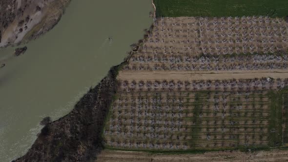 Drone View of Apricot Garden By the River