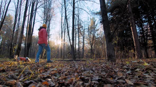 Dog and Woman in Autumn Forest