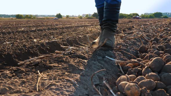 Farmer in Boots Walks Across the Field