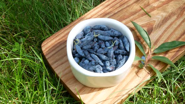 Foraged honeysuckle is in ceramic bowl, the air moving in the grass, ants are running around berries