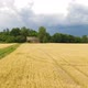 Top View Aerial Shot of Abandoned House in the Forest - VideoHive Item for Sale