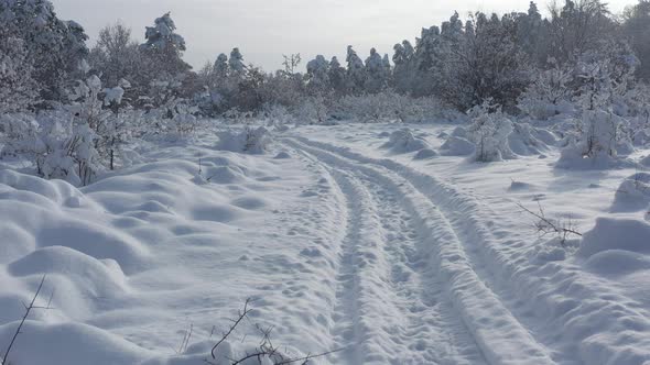 Forest trail snowed in December 4K aerial video