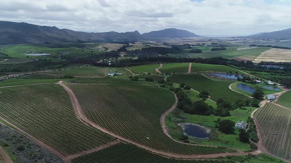 Flight over fertile Hemel-en-Aarde wine valley, with tractor spraying vineyards