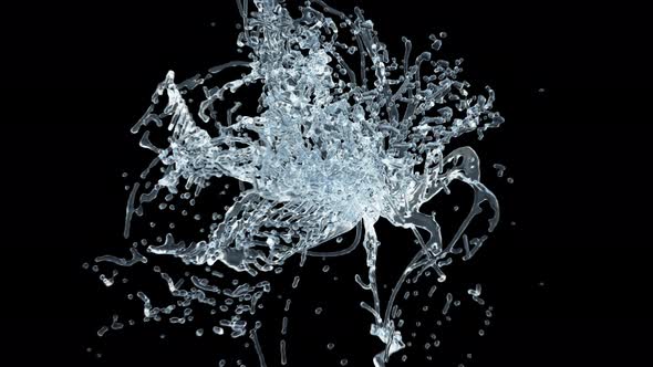 Water Splash alt