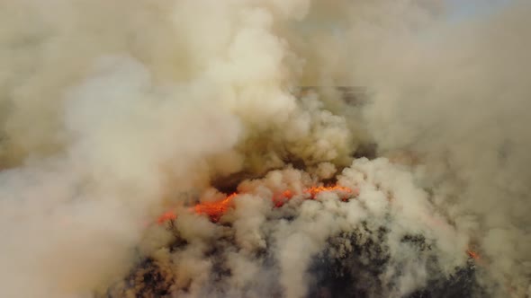 Clouds of smoke of burning dry grass in the countryside