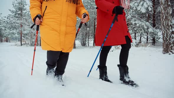 Woman Practicing Nordic Walking In Forest. Sticks Walking On Winter Wood. Winter Adventure Hiking.