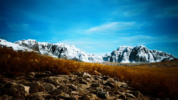 Dry Grass and Snow Covered Mountains in Alaska